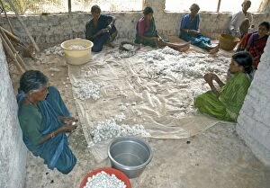 Images Dated 24th March 2006: Workers sorting silkworm coccoons in an Indian