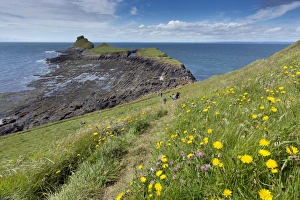 Images Dated 6th August 2012: Worms Head - Rhossili - Gower - Wales - UK
