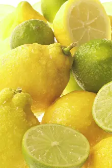 Edible Prints: Yellow and green Lemons