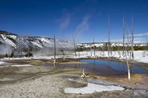 Images Dated 15th February 2011: Yellowstone National Park - geyser of the Black