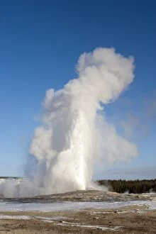 Images Dated 15th February 2011: Yellowstone National Park - Old Faithful - geyser