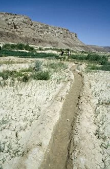 YEMEN - Agriculture. Irrigation, showing water channel