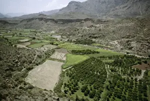 Middle East Prints: Yemen Agriculture. Wadi al Birayn