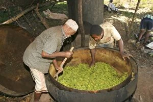 Images Dated 26th July 2003: Ylang Ylang Tree - distillation