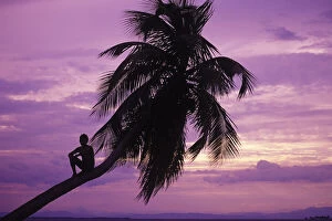 Young boy in palm tree at sunset, Ambergris