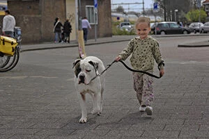 Young female child walking a dog, Amsterdam