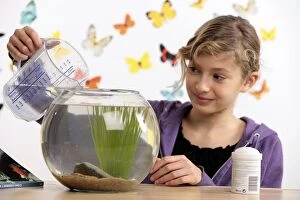 Young girl cleaning Goldfish bowl