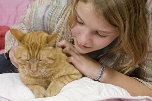Young girl - stroking ginger cat