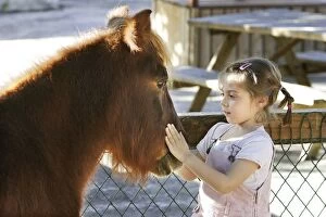 Young girl - stroking pony