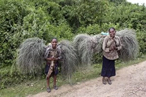 Young girls carrying bundles of grass