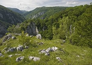 Images Dated 19th June 2005: Zadielska gorge, within the Slovensky Kras National Park