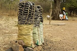 Images Dated 28th August 2006: Zambia - Charcoal is sold in abundance on Zambia's