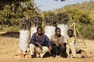 Images Dated 30th August 2006: Zambia - Charcoal is sold in abundance on Zambia's
