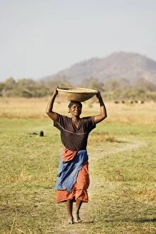 Images Dated 29th August 2006: Zambia - Tonga woman carries a basket with millet