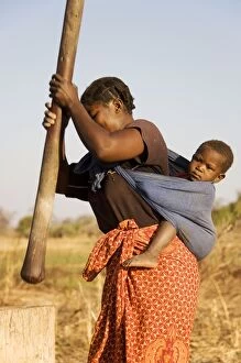 Images Dated 29th August 2006: Zambia - Tonga woman with child on her back pounding