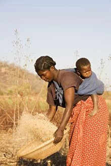 Images Dated 29th August 2006: Zambia - Tonga woman with child sifts grains near
