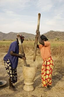 Images Dated 22nd August 2006: Zambia - Tonga women pounding grain near the shore