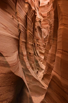 Images Dated 10th April 2009: Zebra Canyon slot canyon - Hole-in-the-Rock-Road - Grand Staircase Escalante National Monument