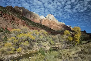 Sandstone Prints: Zion National Park Date: 22-11-2020