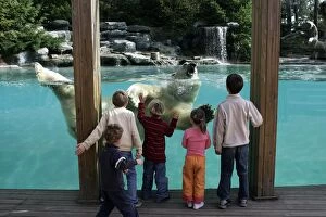 Zoo - Children watching Polar Bear swimming in pool at zoo